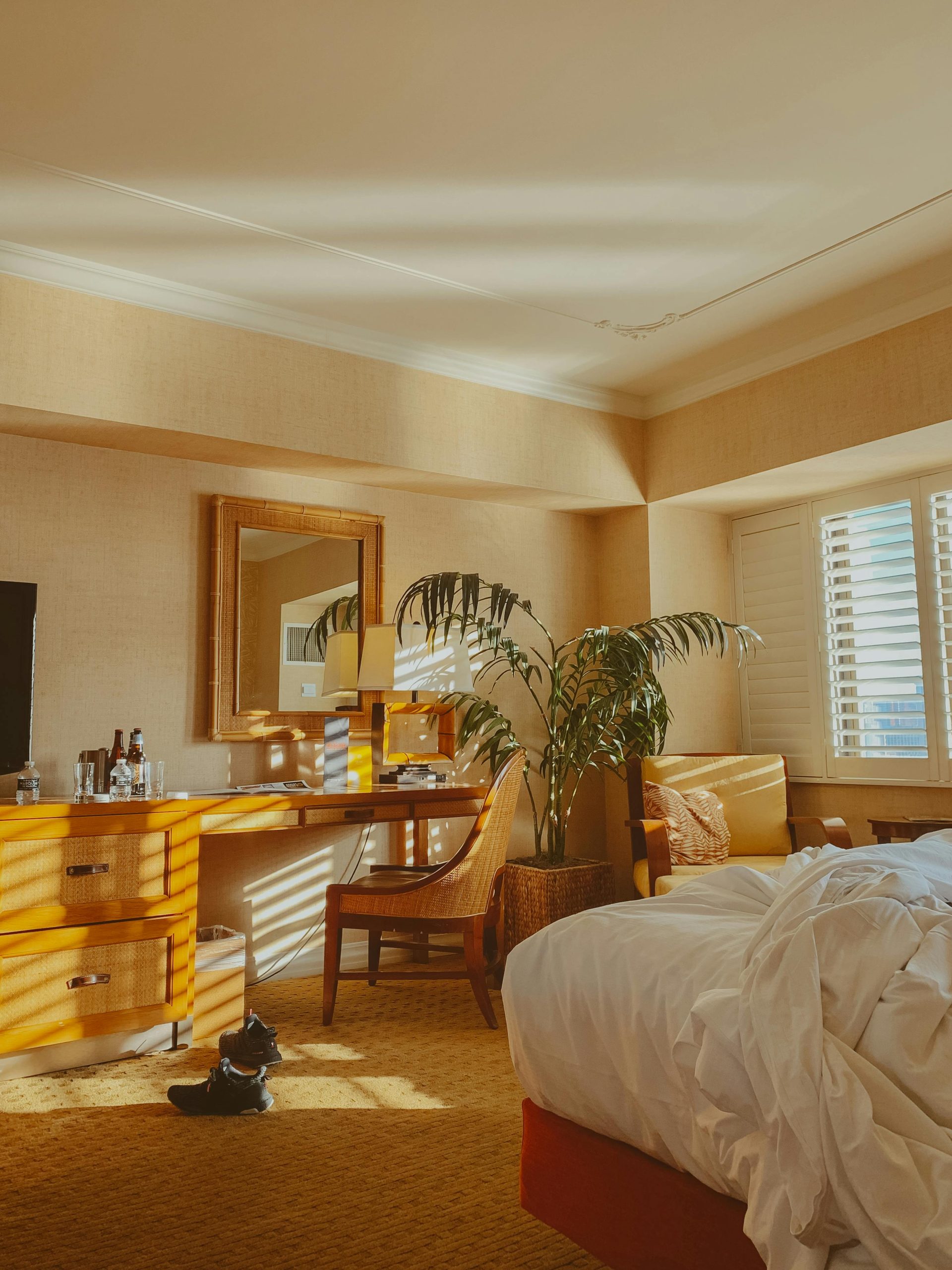 pexels anastasiia goncharova 82254832 10563687