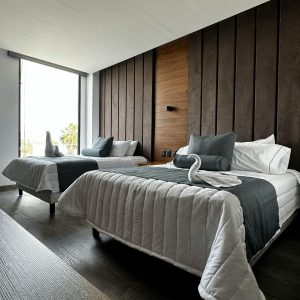 pexels pepe picon 443973565 34016639